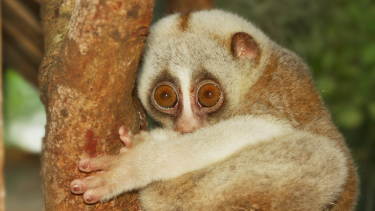 Светът е пълен с какви ли не чудеса. И всеки