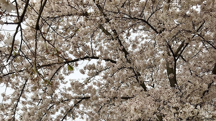 Овен Днес за Вашия любим човек няма да бъде лесно