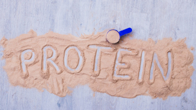 Протеините са основни градивни единици в клетъчните структури на живите организми