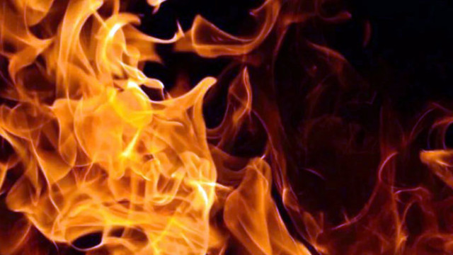 Пожар гори в защитена местност край Русе