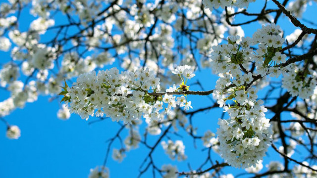 Овен Настроени сте оптимистично но просто не можете да дочакате