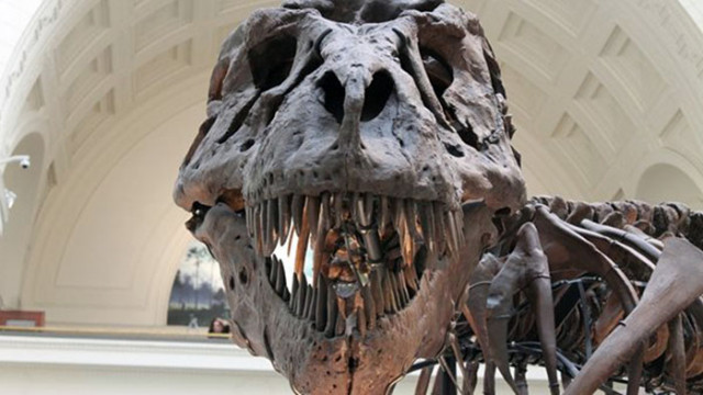 Динозавър който е бродил из Източна Азия преди повече от