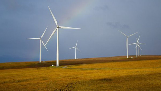 Делът на електроенергията произведена от вятърни централи през последните 24