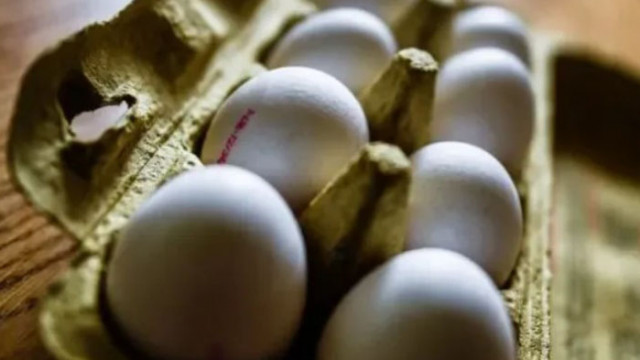 Цената на яйцата за Великден ще се запази на сегашните