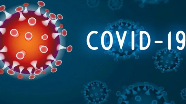 Броят на регистрираните нови случаи на COVID 19 за последното денонощие