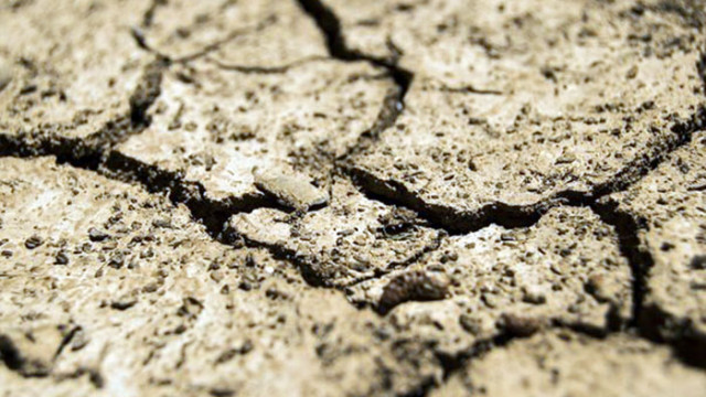 ФАО призовава за иновативни механизми за борба със сушата