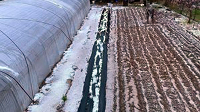 Силна градушка в Хасковско, всичко побеляло