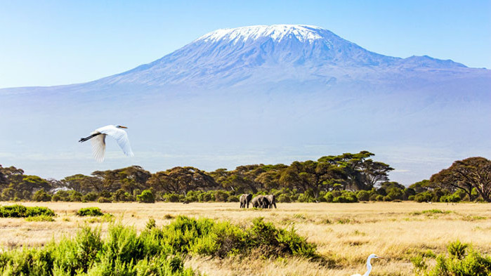 Килиманджаро е най-високата планина в Африка, а най-високата ѝ точка