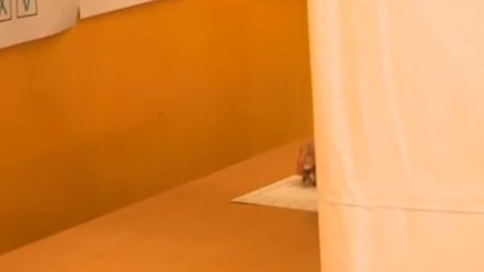 Фентъзи пародия с елементи на подигравка гледаме от сутринта. Жалка