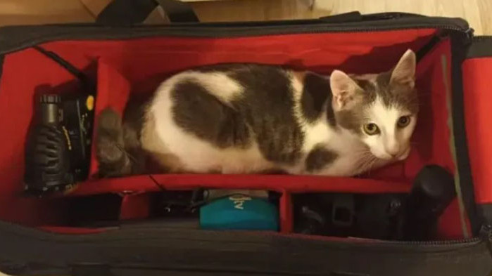 В деня на изборите БТВ реши да пусне новина, как