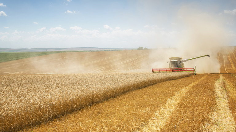 Струпаното украинско жито в Източна Европа предизвиква недоволство у местните фермери