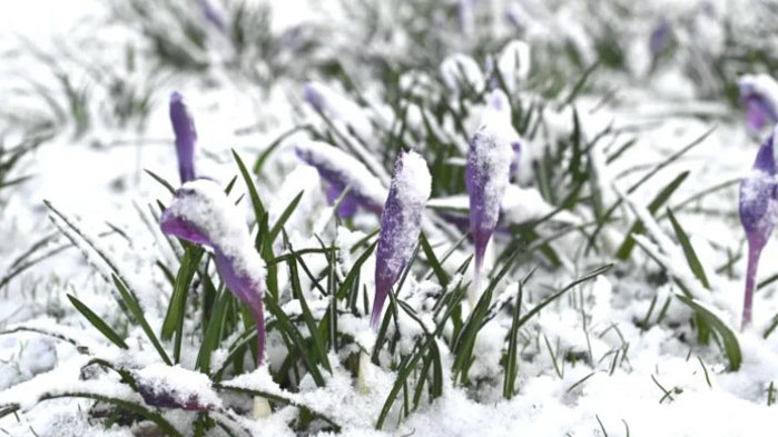 През следващото денонощие времето ще се задържи облачно, с валежи