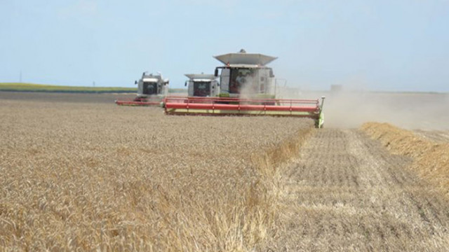 Румънски зърнопроизводители от североизточната част на страната заплашват да блокират