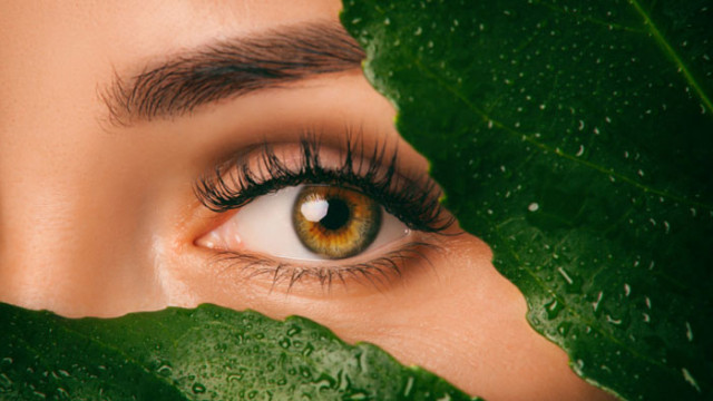 Трите витамина и основните хранителните вещества пряко отговорни за здравето на очите