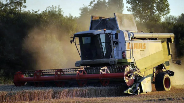 Словакия забрани зърното от Украйна заради пестициди