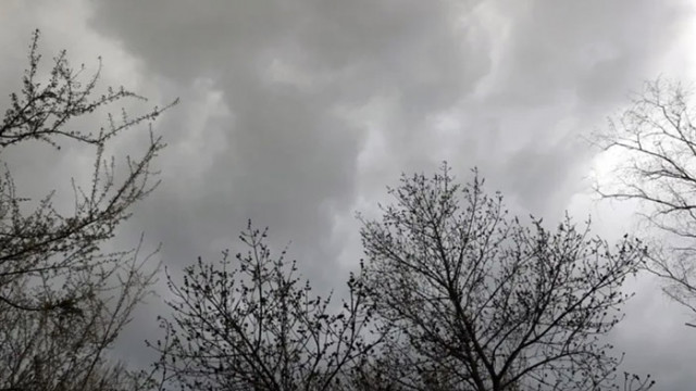 Бурен вятър причини щети в София