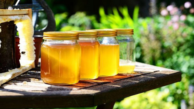 Унгария забранява и вноса на мед и някои месни продукти от Украйна