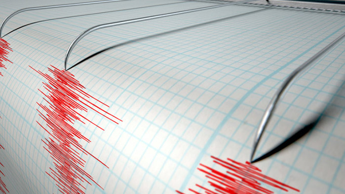 Земетресение с магнитуд от 4,5 по скалата на Рихтер е било регистрирано