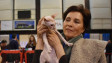 Изложба събира екзотични котки от 10 държави във Варна