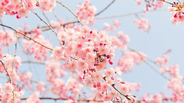 Започва един от най-топлите месеци от годината. Обиквано през месец