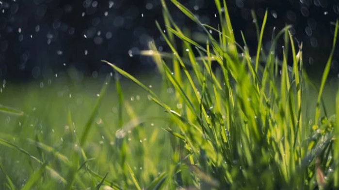 Пролетни дъждове до Гергьовден Днес сутринта ще бъде предимно слънчево,