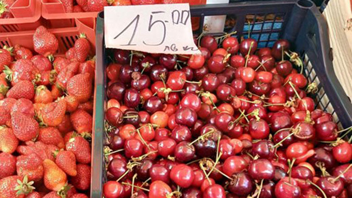 Гръцки са, за българските още е рано в тази студена