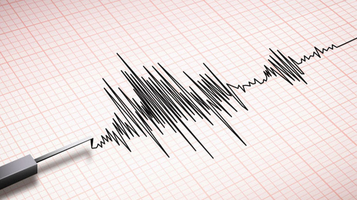 Земетресение с магнитуд 3.1 по скалата на Рихтер бе усетено
