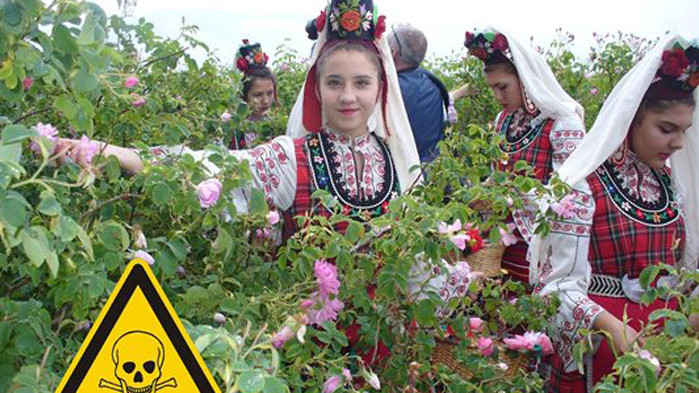 Представителите на България от всички политически групи в Европейския парламент