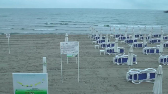 Порция от рибата ще ни струва с поне 1 лев