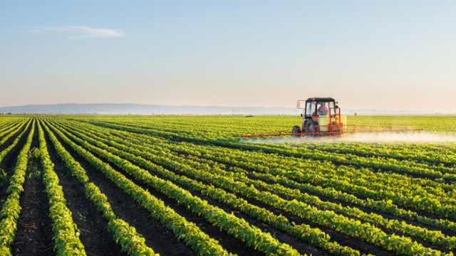 Цените на селскостопанската продукция спадат с 5.9% през първото тримесечие на 2023 г.