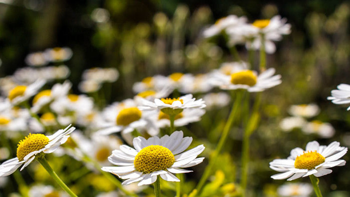 Овен За Вас това е сложен ден, в който се