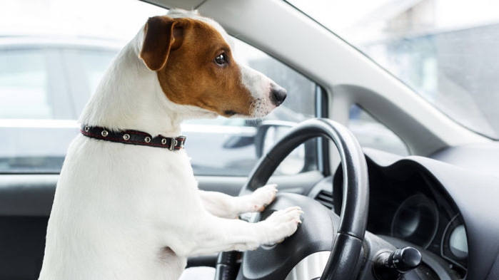 Шофьор, спрян за превишена скорост, се опита да размени местата