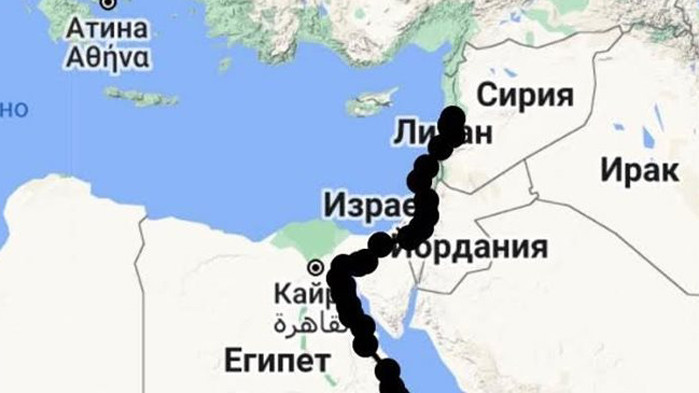 Орлето Илия, което миналата пролет се излюпи в гнездо край