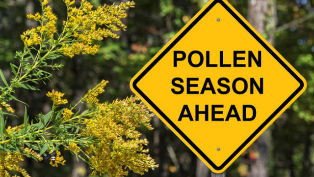 Защо сезонът на алергиите ще е по-дълъг през 2023 г.