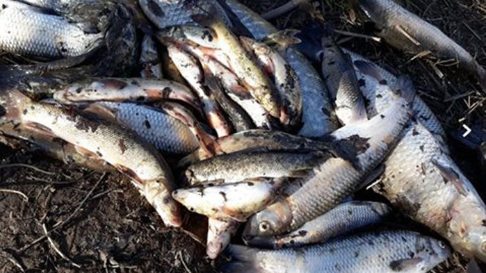 Двама бракониери на риба са задържани край язовир Огоста“ при