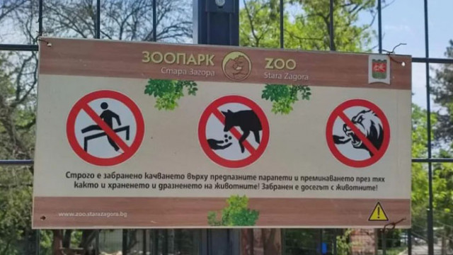 Инцидент в зоопарк: Жена преминала ограждения да погали пони