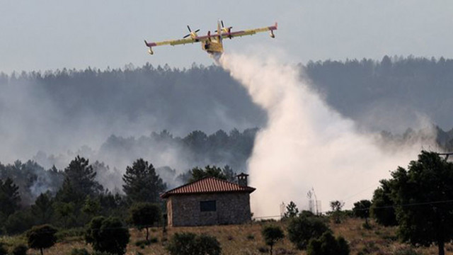 Безсънна нощ в Западна Испания заради горски пожари Огънят изпепели