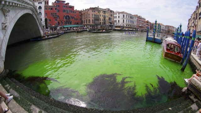 Участък от Канале Гранде на италианския град Венеция стана яркозелен в