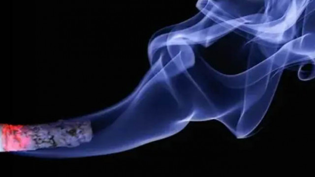 Днес отбелязваме Световния ден без тютюнопушене Официално той е определен