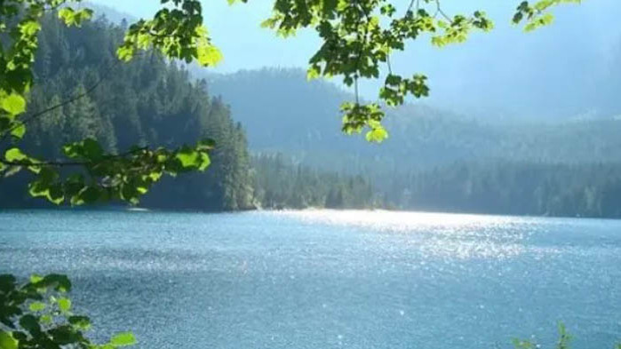 През днешния ден преди обяд ще преобладава слънчево време. Около