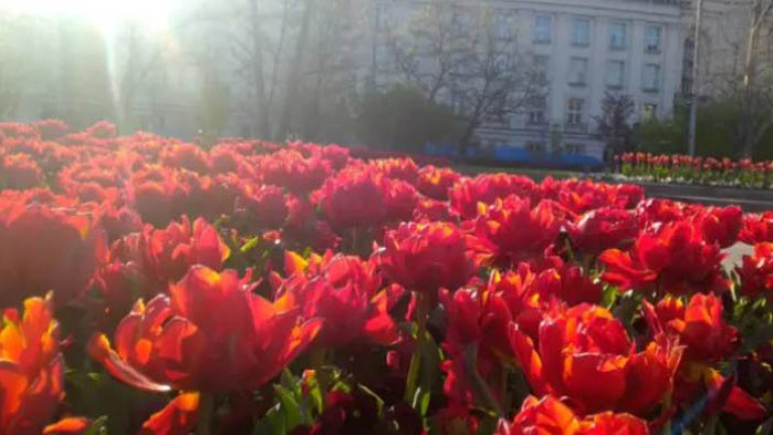 Валежите и в Западна България ще спрат, облачността ще се