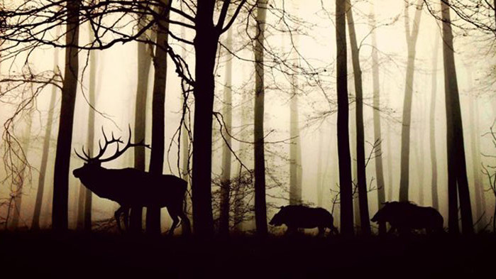 Знаем за усилията, които се полагат за съхраняването на редки