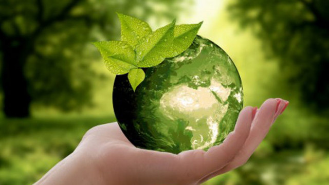 На 5 юни отбелязваме Световния ден на околната среда Тази