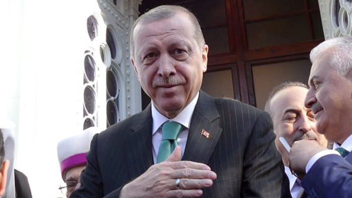 Турският президент Реджеп Тайип Ердоган назначи Хафизе Гайе Еркан, която