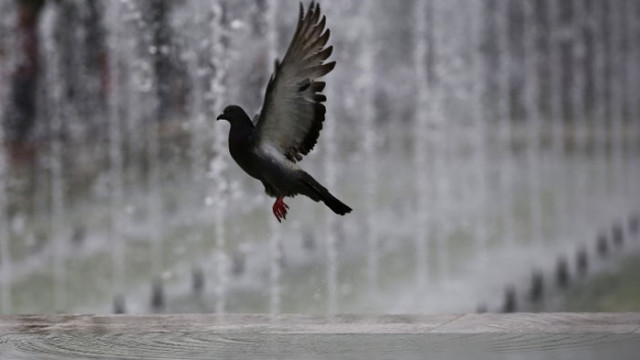 Днес над западната половина от страната ще се развива купеста и