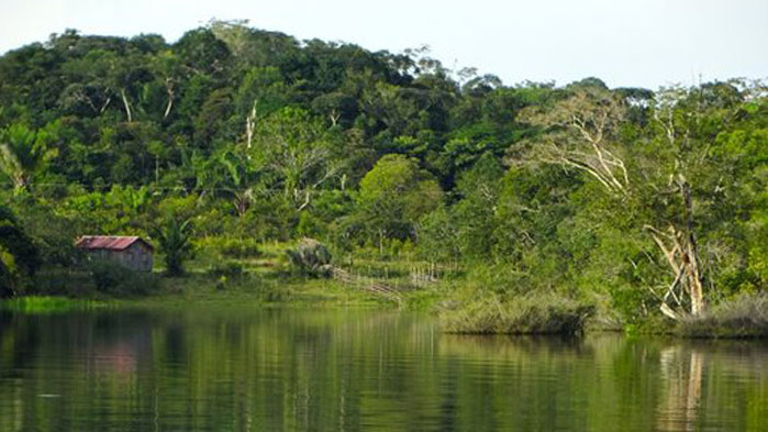4 деца оцеляха сами 40 дни в Амазонската джунгла след самолетна катастрофа