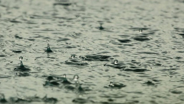 Четири екипа отстраняват последиците от проливния дъжд в Желява и Бухово