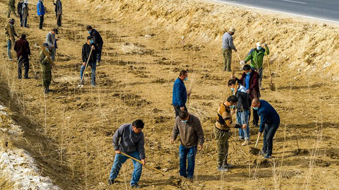 Напредъкът в науката и технологиите в Китай превръща пустинните пясъци в обработваема земя