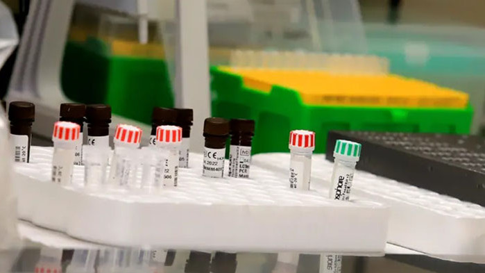 Вирусът се пренася от гризачи Случай на опасното вирусно заболяване