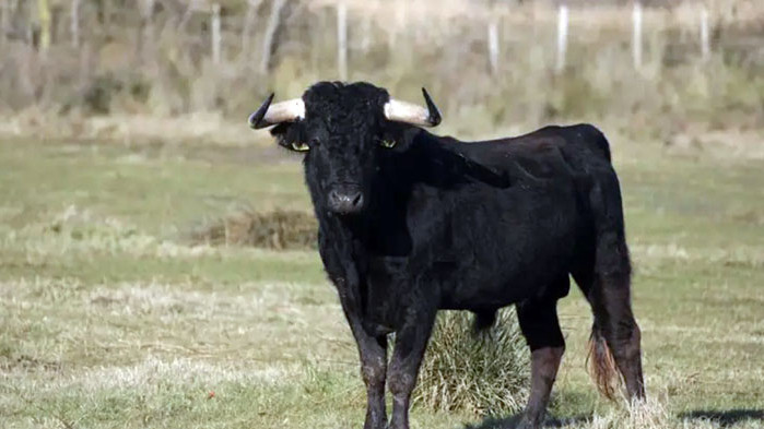 Възрастна жена е с опасност за живота, след като била